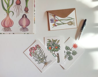 Botanical Thank You Cards, Set of 4, Floral Greeting Cards, Blank Note Card, Botanical Note Card, Watercolor Note Cards, Flowers Cards