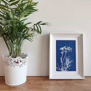 Cianotipia Originale di Finocchio Selvatico, Stampa Botanica su Carta da Acquerello, Decorazione da parete, Monoprint Wall Decor