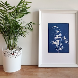 Cianotipia Originale Avena, Stampa Botanica su Carta da Acquerello, Decorazione da parete, Monoprint Wall Decor