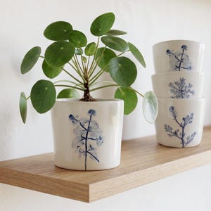 Pode incluir: Um vaso de cerâmica branca contendo uma planta Pilea peperomioides verde, acompanhado por uma pilha de três tigelas de cerâmica branca a combinar. Cada peça apresenta uma ilustração botânica azul detalhada de caules e flores.