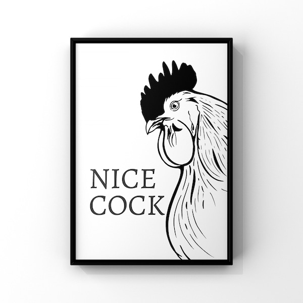 Nice Cock Bathroom Sign - Etsy