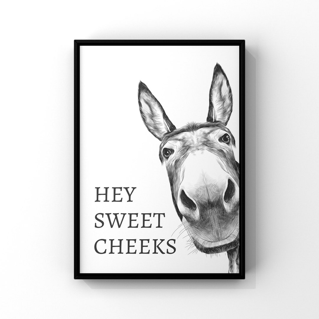 Targa In Metallo Vintage HERYNLRN 20x30 Cm – Hello Sweet Cheeks Donkey – Decorazione Ironica Per Casa, Bar, Caffetteria
