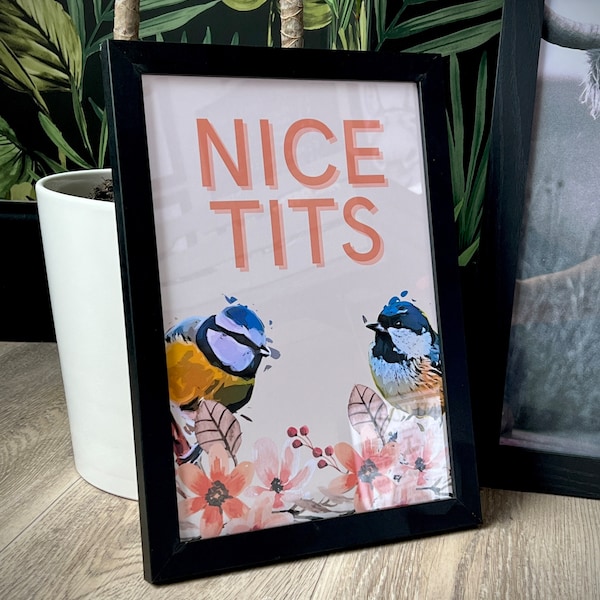 Bathroom Prints, prints for bathroom, bathroom art, funny bathroom prints, funny posters, bathroom decor, nice tits, bird lover gift, funny