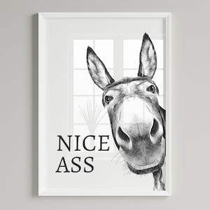 Nice ass, donkey in bathroom, Bathroom decor, Bathroom accessories, prints in UK, A1, funny bathroom print, bathroom art, wall art prints A2