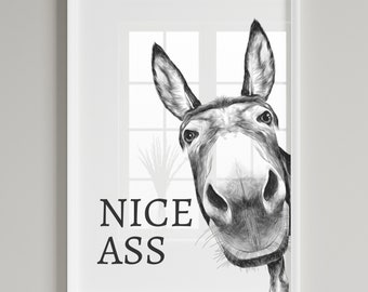 Nice ass, donkey in bathroom, Bathroom decor, Bathroom accessories, prints in UK, A1, funny bathroom print, bathroom art, wall art prints A2