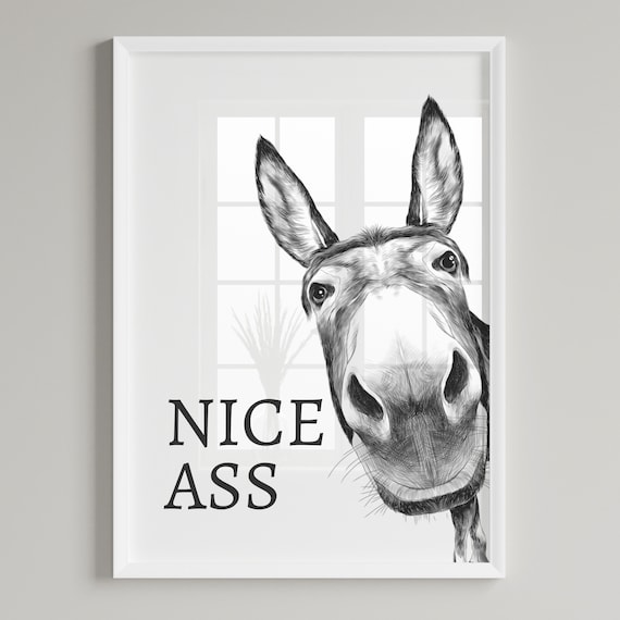 Funny Donkey Bathroom Art Print - Cheeky Home Decor - Bathroom Wall Art - Toilet Decor