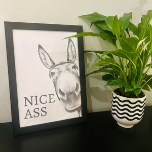 Nice ass, donkey in bathroom, Bathroom decor, Bathroom accessories, prints in UK, A1, funny bathroom print, bathroom art, wall art prints A2 image 3
