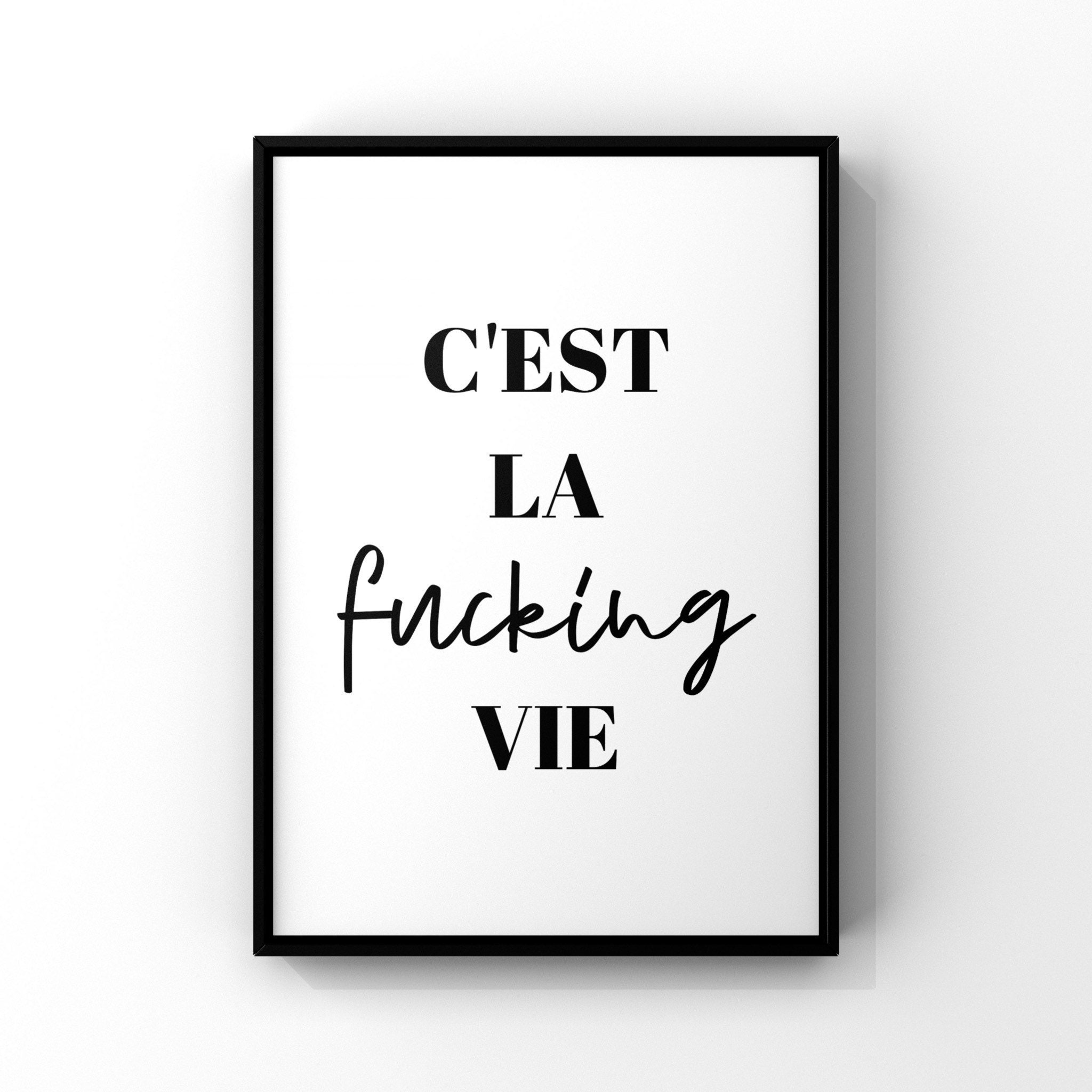 Cest la fucking vie, sweary prints, offensive wall art, prints  