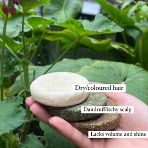 Volume shampoo bar, Shampoo for Oily hair, Natural shampoo for Hair Loss, Vegan shampoo, Jojoba oil, Luxury Haircare image 5