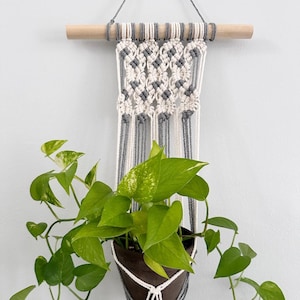 Puede incluir: Un macramé para plantas de color gris y blanco con una barra de madera en la parte superior. Una planta verde en maceta cuelga del macramé.