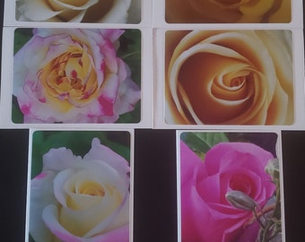 ROSES Blank greeting cards - Set of 8