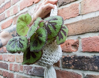 Macrame Plant Hanger / Hanging Basket / Natural Cotton / White Plant Hanger / Home Decor / House Plants / UK