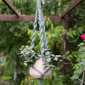 May include: A light blue macrame plant hanger with a wooden ring at the top, holding a pink planter with a green plant. The hanger has a tassel at the bottom.