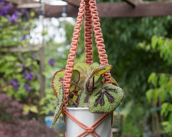 Handmade macrame plant hanger - Medium/Terracotta, recycled cotton cord