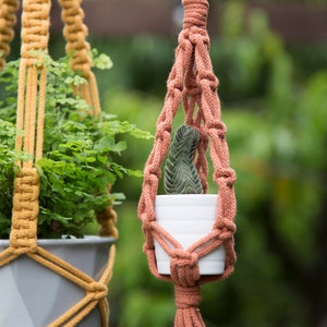 May include: Two macrame plant hangers, one in a peach colour and one in a yellow colour, with a small succulent plant in a white pot hanging from the peach hanger.