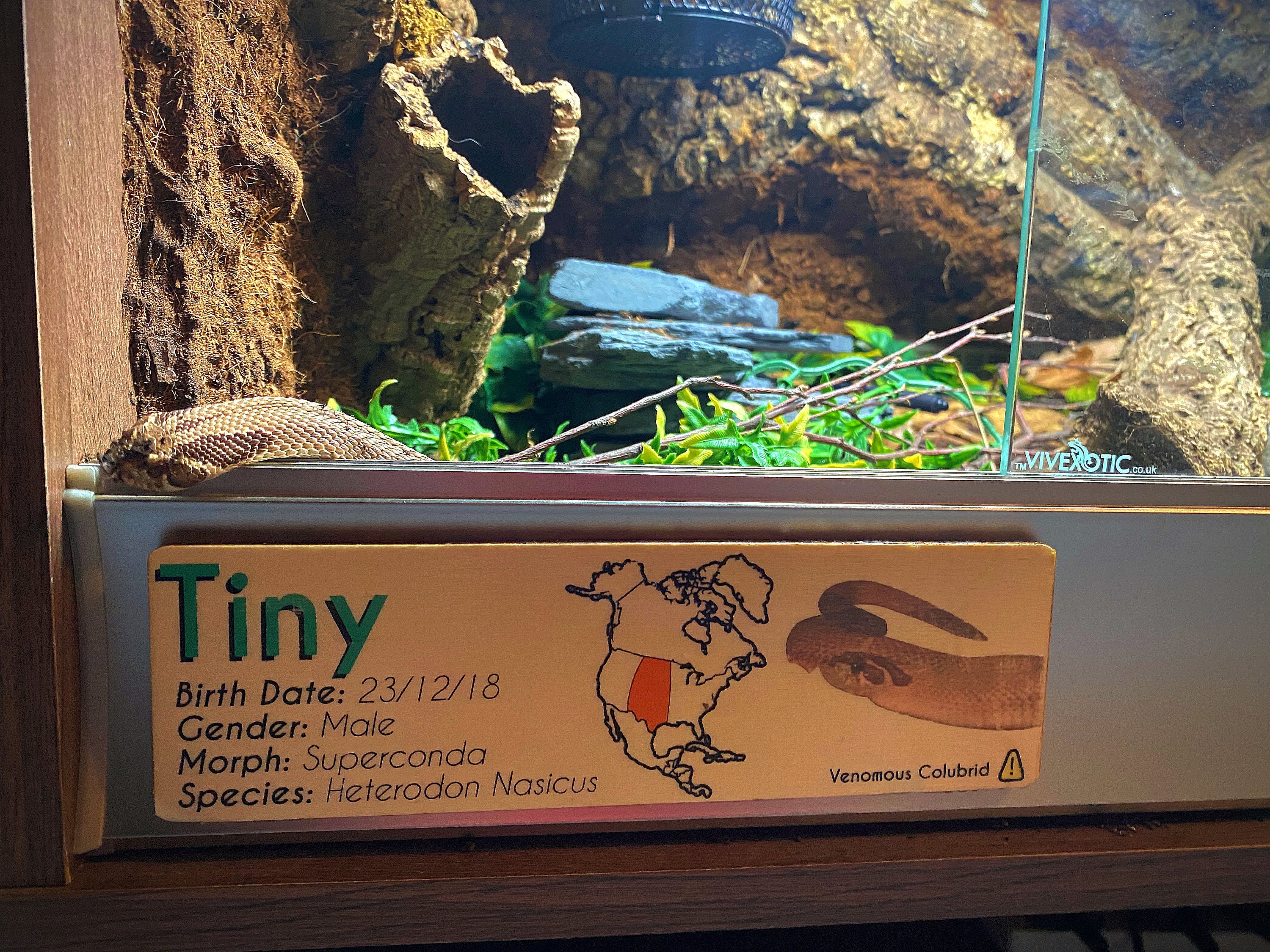 Personalised Reptile Wooden Name Plaque Enclosure Decoration Etsy UK