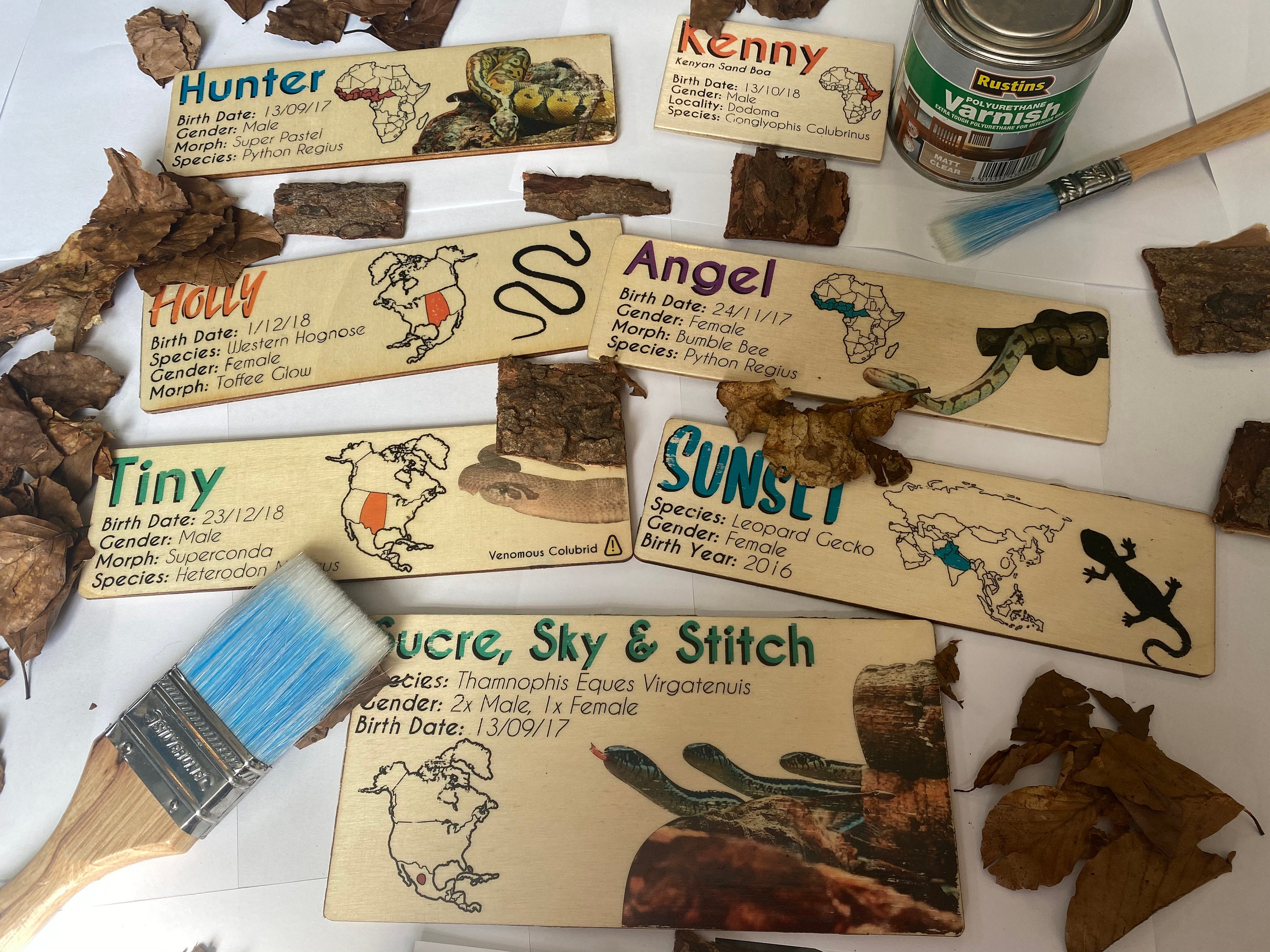 Personalised Reptile Wooden Name Plaque Enclosure Decoration Etsy