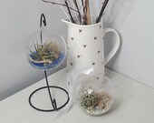 10cm Hanging Terrarium Glass Orb Globe Mini Garden Hanging Planter with Air Plant and Glass Pebble Stones Terrarium With Plant Kit