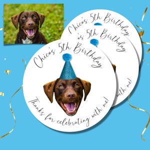 Dog Birthday Stickers, Dog Party Favor, Customized Dog Sticker for Birthday, Invitation Stickers, Dog Birthday Thank You, Pet Party Sticker