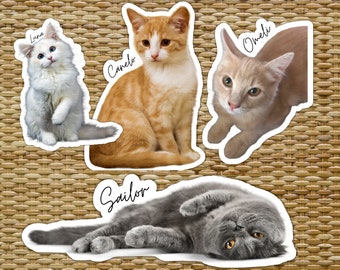Custom Pet Stickers: Personalized Cat & Dog Decals