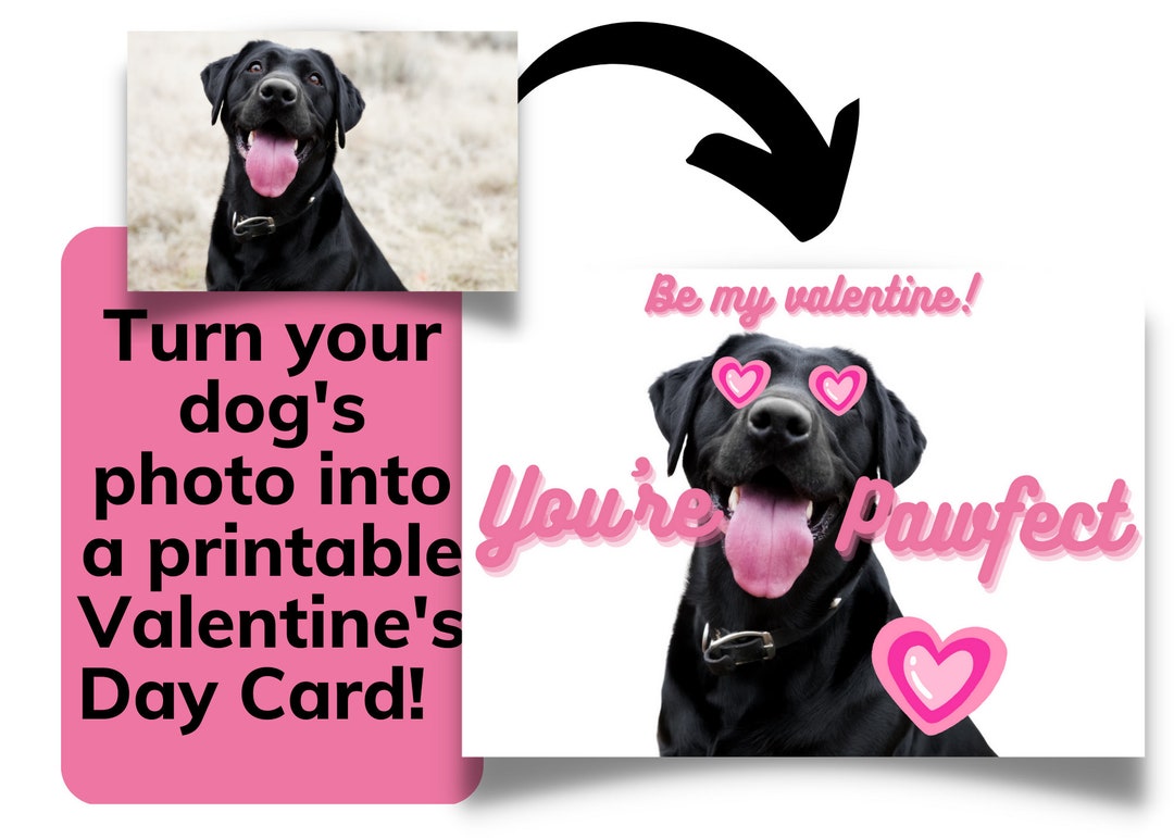 Dog Valentines Day Cards, Custom Valentines Day Cards, Dog Valentines Day Gift, Personalized Pet
