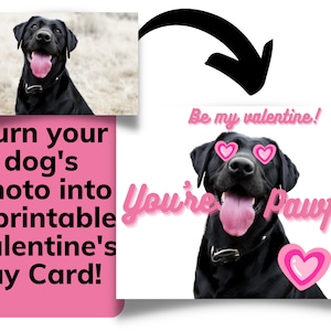 Tarjetas de San Valentín para perros, tarjetas personalizadas para el día de San Valentín, regalo para perros para el día de San Valentín, tarjeta personalizada para mascotas de la foto, descarga digital imprimible