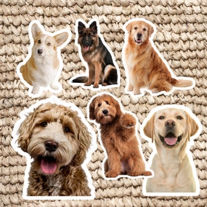 Pet Stickers, 12 Pack Personalized Pet Sticker Bundle, Photo to Sticker, Custom Dog Sticker, Custom Cat Decal, Water Bottle Sticker,