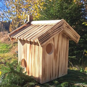 Könnte beinhalten: Ein Vogelhaus aus Holz mit einem Schindeldach und zwei runden Eingangsöffnungen. Das Vogelhaus ist verwittert und hat ein rustikales Aussehen.