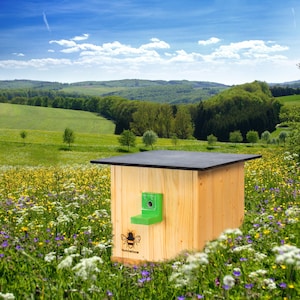 Könnte beinhalten: Ein Bienenhaus aus Holz mit einem grünen Eingang und einem schwarzen Dach. Das Bienenhaus steht auf einer Wildblumenwiese.
