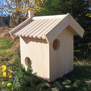 Könnte beinhalten: Ein Vogelhaus aus Holz mit einem Schindeldach und zwei runden Eingangsöffnungen. Das Vogelhaus steht auf einem Bett aus grünen Kiefernnadeln.