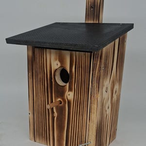 Nido, cavità di nidificazione per uccelli, casetta per uccelli, nido sospeso, cavità di nidificazione con foro d'ingresso da 30 mm, elegantemente fiammata (N2G)