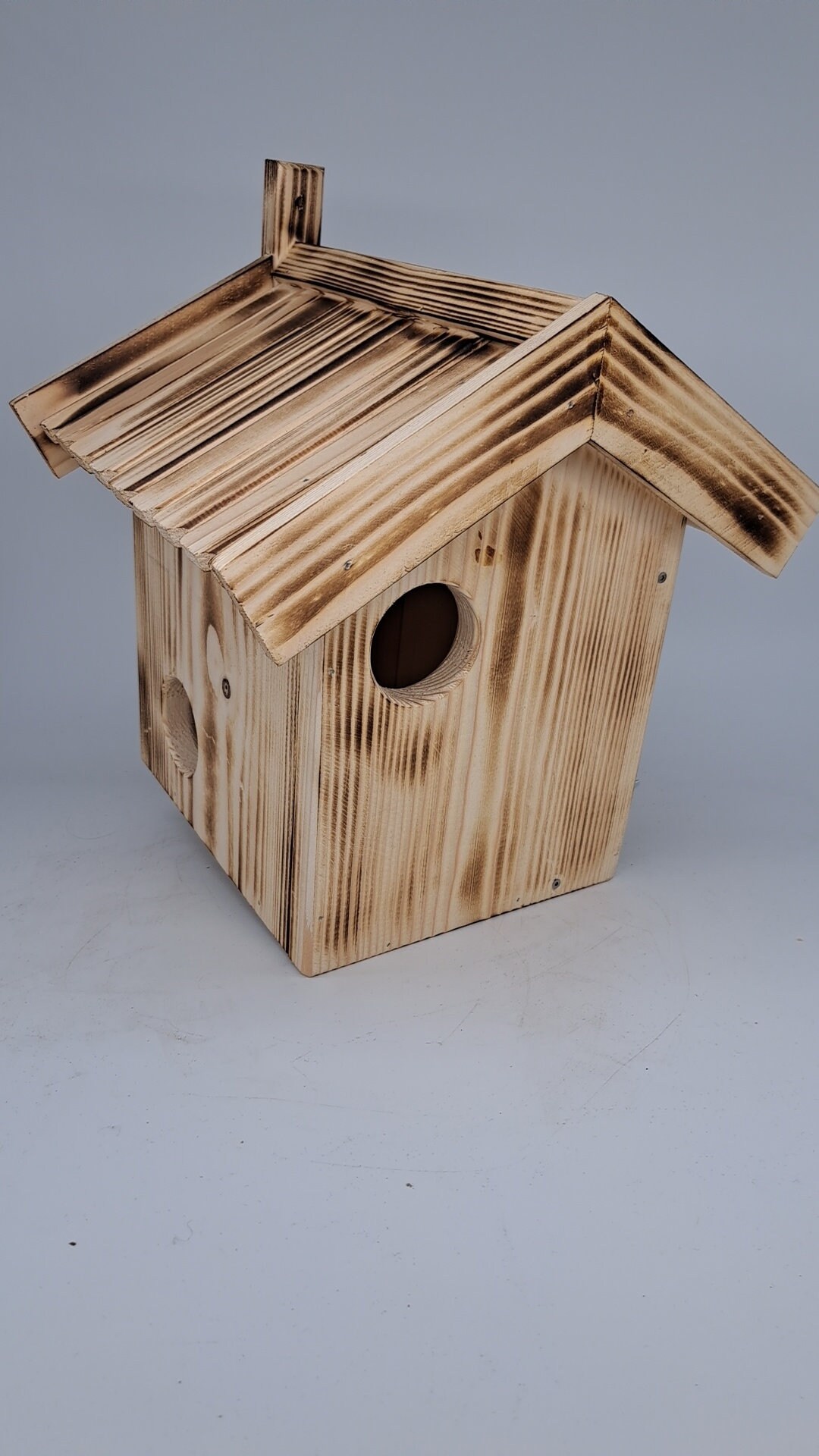 Canifee - Mangime Per Scoiattolo, 1 Kg Di Mangime Per Animali Selvatici Adatto Alla Specie Come Miscela - Foto 3