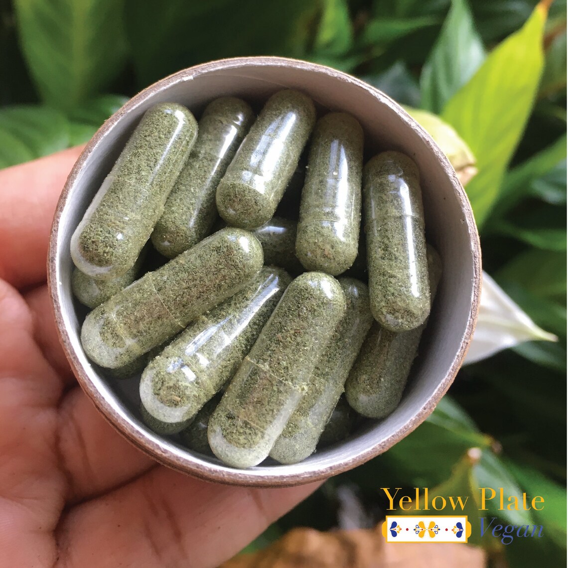 Organic Sage Capsules Small Etsy
