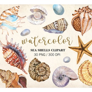 Clipart akwarelowy muszli morskich, Clipart oceanu, Muszle akwarelowe, Clipart akwarelowy marynistyczny letniej plaży, PNG, Kolekcja muszli morskich, DIY