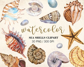 Imágenes prediseñadas de conchas marinas en acuarela, imágenes prediseñadas del océano, conchas de acuarela, imágenes prediseñadas de playa de verano náutico en acuarela, PNG, colección de conchas marinas, bricolaje