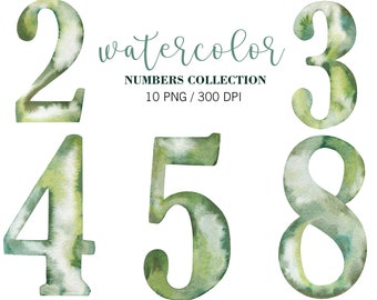 Può includere: Numeri 2, 3, 4, 5 e 8 ad acquerello, in verde e bianco. I numeri sono dipinti in uno stile ad acquerello con uno sfondo verde chiaro e riflessi bianchi. Il testo "watercolor numbers collection 10 png / 300 dpi" è sotto i numeri.