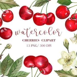 Clipart z akwarelą wiśni, ręcznie malowane wiśnie, drzewa owocowe wiśni, clipart z akwarelą owoców, clipart z akwarelą kwiatów, wiśnia PNG
