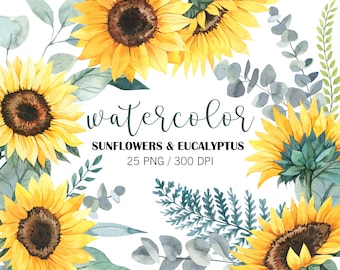 Watercolor Sunflowers Clipart, Eucalyptus clipart, Greenery clipart, Eucalyptus with sunflower clipart, Wedding arrangements, sunflower art
