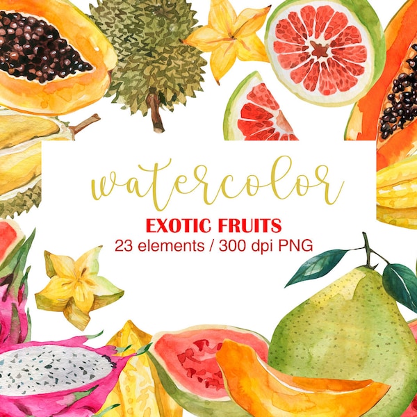 Watercolor Exotic Fruits Clipart, Watercolor Tropical Fruits, PNG, Exotic fruits, Digital watercolor, Summer fruits, Hand drawn, DIY, Papaya