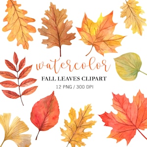 Watercolor Fall Leaves Clipart: Autumn Leaf PNG Fall Decor Collection Digital Download