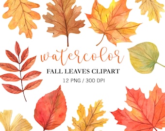 Watercolor Fall Leaves Clipart: Autumn Leaf PNG Fall Decor Collection Digital Download