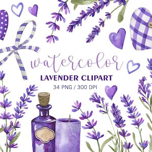 Clipart di lavanda ad acquerello, pianta di lavanda, clipart di Provenza, PNG per la festa della mamma, clipart di fiori primaverili, adesivi per planner, decorazioni per matrimoni
