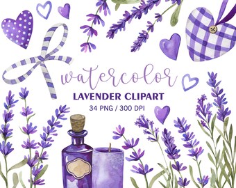Clipart di lavanda ad acquerello, pianta di lavanda, clipart di Provenza, PNG per la festa della mamma, clipart di fiori primaverili, adesivi per planner, decorazioni per matrimoni