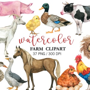 Watercolor Farm Animals Clipart, Animal Clipart, Nursery Decor, Nursery ...