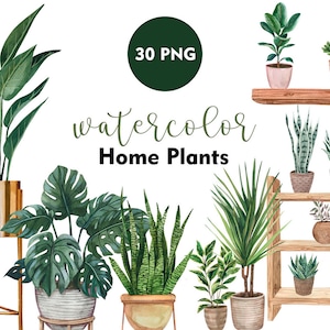 Imágenes prediseñadas de plantas de interior en acuarela, plantas de interior, vegetación para el hogar, imágenes prediseñadas de plantas en macetas, decoración moderna del hogar, jardín del hogar, imágenes prediseñadas de planificador, PNG