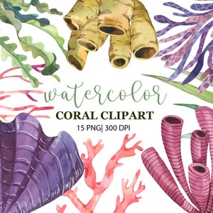 Aquarel koraal clipart, oceaan clipart, zee koraalrif clipart, onderwater koraal, zee illustraties, nautische illustraties, koraalrif, png, digitaal