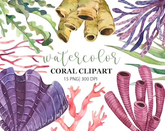 Watercolor Coral Clipart, Ocean Clipart, Sea coral reef clipart, Underwater Coral, Sea Clip Art, Nautical Clip Art, Coral reef, PNG, Digital