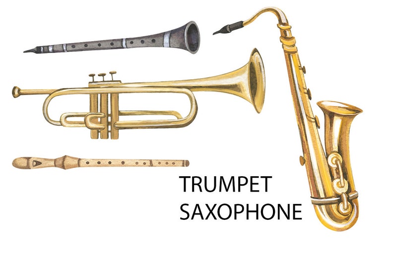 May include: A watercolor illustration of four musical instruments: a gold trumpet, a gold saxophone, a brown wooden flute, and a black clarinet. The text "TRUMPET SAXOPHONE" is written below the instruments.