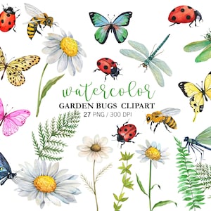 Watercolor Garden Bugs Clipart: Hand Painted Ladybug, Bee, Butterfly Daisies, Garden flowers PNG Digital Download