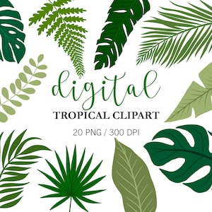Tropische Blätter Clipart, Monstera Clipart, Dschungel Clipart, digitale Aufkleber tropische Pflanzen, digitale Planner Aufkleber, Palmblatt, PNG